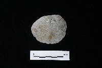 藏品(石片器)的圖片