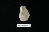 藏品(石片器)的圖片