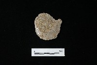 藏品(石片器)的圖片