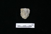 藏品(石片器)的圖片