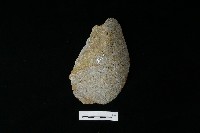 藏品(石片器)的圖片