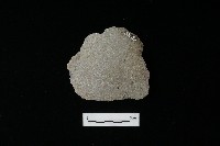 藏品(石片器)的圖片