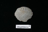 藏品(石片器)的圖片