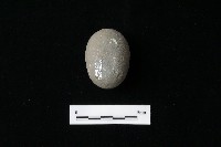 藏品(石材)的圖片