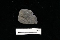 藏品(石刀)的圖片