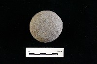 藏品(石托)的圖片
