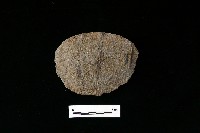 藏品(石片器)的圖片