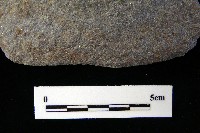 藏品(石片器)的圖片