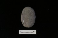 藏品(石鎚)的圖片