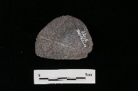 藏品(石片器)的圖片