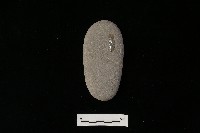 藏品(石鎚)的圖片