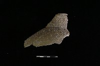 藏品(陶罐)的圖片