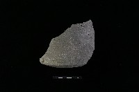 藏品(陶罐)的圖片