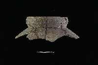 藏品(陶罐)的圖片