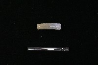 藏品(陶環)的圖片