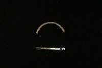 藏品(陶環)的圖片