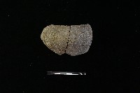 藏品(陶缽)的圖片