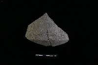 藏品(陶罐)的圖片