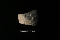 藏品(陶片)的圖片