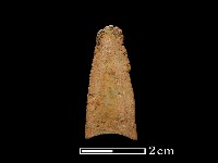 藏品(矛鏃形器)的圖片