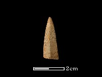 藏品(矛鏃形器)的圖片