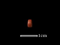 藏品(琉璃珠)的圖片