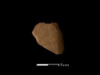 藏品(矛鏃形器)的圖片