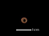 藏品(琉璃珠)的圖片