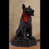 藏品(義公犬)的圖片