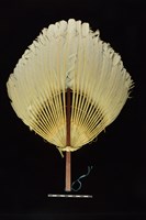 藏品(羽扇)的圖片