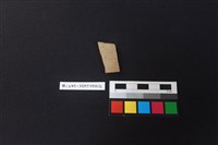 藏品(陶片)的圖片