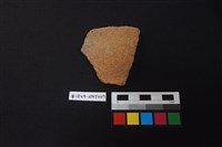 藏品(陶片)的圖片