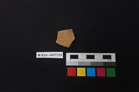 藏品(陶片)的圖片