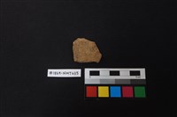 藏品(陶片)的圖片