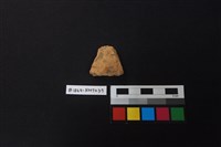 藏品(陶片)的圖片