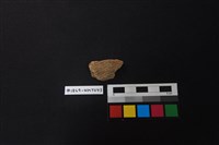 藏品(陶片)的圖片