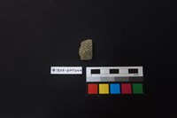 藏品(陶片)的圖片