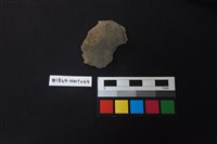 藏品(陶片)的圖片