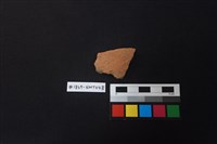 藏品(陶片)的圖片