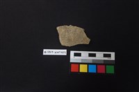 藏品(陶片)的圖片