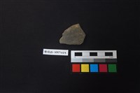 藏品(陶片)的圖片