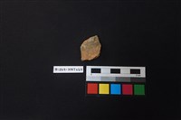 藏品(陶片)的圖片