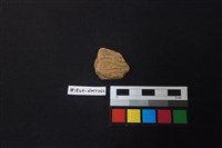 藏品(陶片)的圖片