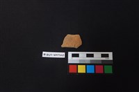 藏品(陶片)的圖片