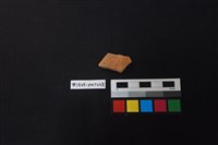 藏品(陶片)的圖片