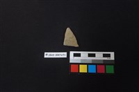 藏品(陶片)的圖片