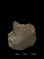 藏品(磨製斧鋤形器)的圖片