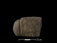 藏品(網墜)的圖片