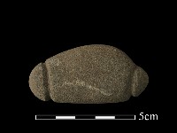 藏品(網墜)的圖片