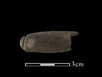 藏品(網墜)的圖片